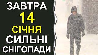 ПОГОДА НА ЗАВТРА: 14 СІЧНЯ 2024 | Точна погода на день в Україні