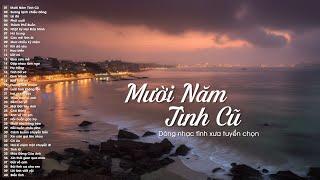 Mười Năm Tình Cũ, Sương Lạnh Chiều Đông - Những Bản Nhạc Tình Hải Ngoại Ngọt Ngào Chạm Đến Cõi Lòng