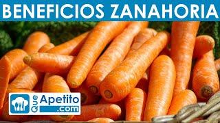 8 Propiedades y Beneficios de la Zanahoria | QueApetito