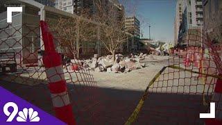 RTD demolishes granite benches outside Union Station