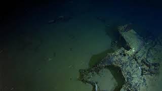 Caladan Oceanic Explores La Minerve Wreck Site Pt. 2