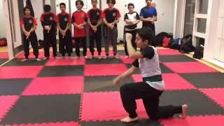 Maiwand Martial Arts forms