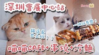 深圳¥58不限時摸貓貓Cafe！超黏人貓店長任摸唔嬲｜韓式自助串燒｜自助燒烤店｜深圳會展中心站｜卓越INTOWN購物中心｜牛肉串燒｜炭燒大頭蝦｜韓國冷麵