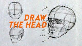 Head Block-in & Proportions Guide (atelier technique!)