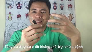 Cây sao chổi Diện Chẩn - Tăng sức đề kháng