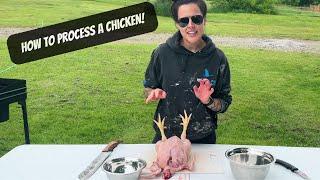 How To Process A Chicken