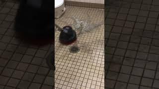 Floor cleaning by DRD Cleaning Solutions