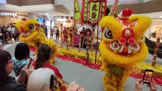 White Sands Chinese New Year Lion Dance 2024- Singapore