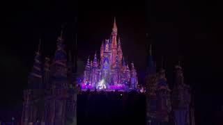 Enchanting Disney Characters' Christmas Day Performance at Magic Kingdom