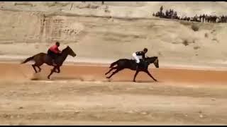 Horse racing competition Uzbekistan 