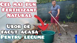 Cel mai bun fertilizant natural pentru gradina de legume