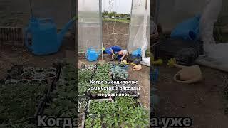 Все дачники на майские #дача #сад #огород #цветы #лето #юмор #garden #урожай