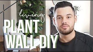 HOW I BUILT AN INDOOR LIVING PLANT WALL