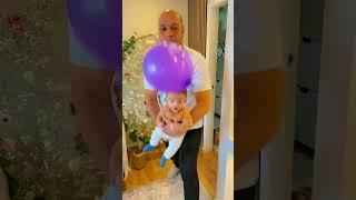 نطح البوالين مع خلودة ودادي وكميت وجولدي