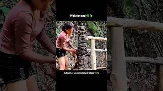Woman Building House in Forest | Jungle Tree House + Clay Stove | Off Grid House in the Woods