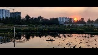 lake view Sun set #sunset #lake #lakers #lakeview #eveningwalks #dog #peace#sunsetview