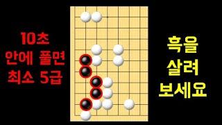 초보 바둑 사활 12   단 5분으로 바둑 초보 탈출하기 l Korea Baduk live die