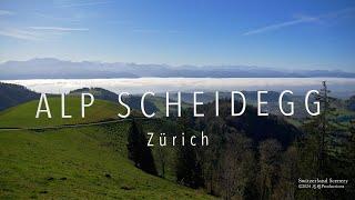 Alp Scheidegg Zürich SWITZERLAND スイス アルプス山脈