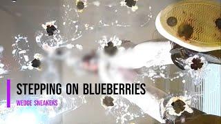 Stepping on blueberries with wedge sneakers #shoes #crush #asmr