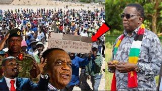 BreakingCCC MPs Eager to Visit President Mnangagwa’s Precabe Farm to push Zanu-PF 2030 mantra