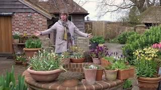 Gardening at home with Sarah | A tour of the Dutch Yard