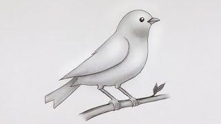 Simple Bird Drawing | Easy Pencil Sketch and Shading #drawing