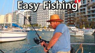 Fishing for jacks cravelle and sawrella in the harbours #fishing #fishingislife