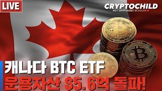 비트코인 고래 2월 들어 14만 BTC 매도 / 캐나다 BTC ETF 운용자산 급속히 느는 중