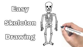 Skeleton Drawing Easy | YoKidz Channel | YoKidz Drawing