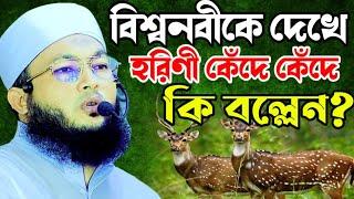 বিশ্বনবী ও হরিণের হৃদয় বিদারক ঘটনা || Mawlana Al-Amin araihazari waz || মাওলানা আল-আমিন ওয়াজ