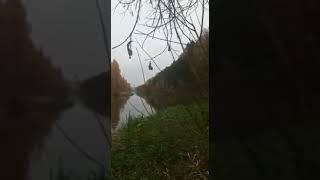 Духи природы и стихий #обрядыритуалы #магия #духи #заговоры #оберег #ведунья #лес