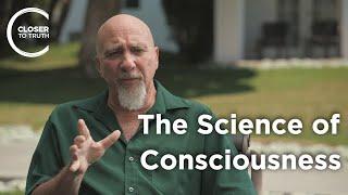 Stuart Hameroff - The Science of Consciousness: Quantum Mechanics and Spirituality