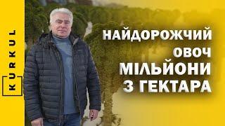 З Австралії в українське село: як в Черкасах вирощують капусту під снігом / Куркуль