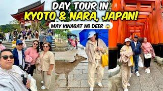 Kyoto-Nara Tour! Exploring Fushimi Inari, Kiyomizu Dera, & Nara Park!  | JM Banquicio