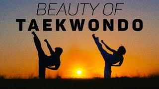 The Beauty of Taekwondo - 2017 Motivational Training