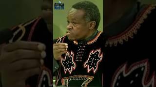 Many Political Leaders In Africa Are Thieves! | PLO Lumumba