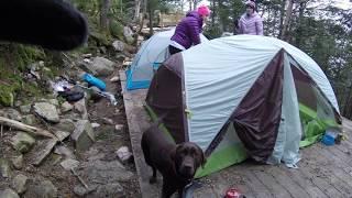 The Devastation of Guyot Campsite - November 2017