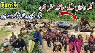 Why do people fight when traveling with bookers?(Part.9)بکروالوں کے ساتھ سفر میں لڑائی