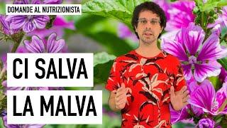 Ci salva la malva