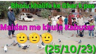 (25/10/23)  #Bholu khalifa k Ghar k Pas    #Maharuf Bhai ne # Maidan m Khole Kabutar 