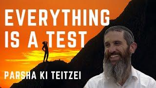 Everything is a Test | Parsha Ki Teitzei