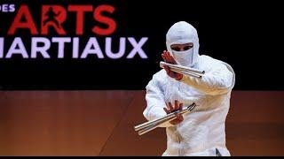 36th World Martial Arts Festival in Bercy/Accor Arena Paris. - Nunchaku Mastery - Maciej Sikonski