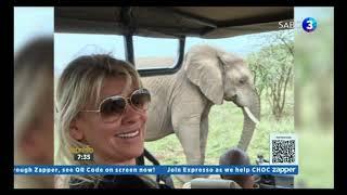 Expresso on An Elephant in my kitchen by Francoise Malby Anthony at THULA THULA