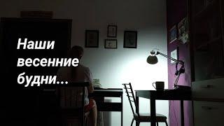 Весна 2024, фрагменты будничной жизни.