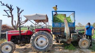 Cow Cattle Feed Grass Cutting Machine For Dairy Farm #cow #cattle #feed #grass #machine #farming