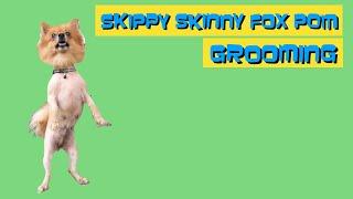 SKIPPY SKINNY FOX GROOMING | JOVZ PIN