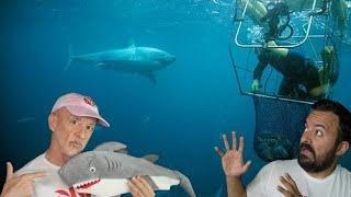 Divers React to Abalone divers working near Great White sharks