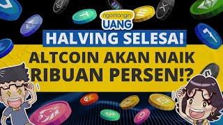 Altcoin Apa yang Naik Setelah Bitcoin Halving?