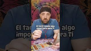 El tarot revela algo importante para TÍ #tarotonline #tarot #tarotreading #tarotlovereading