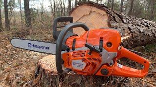 NEW Husqvarna 572XP!!!!!! #husqvarna #chainsaw